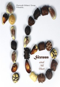 Sixteen and All That cover